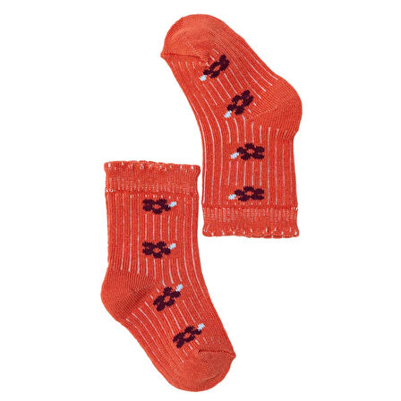 HelloBaby Kız Bebek 5'li Soket Çorap