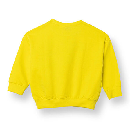 Fenerbahçe Unisex Sweatshirt İki İplik Bisiklet Yaka Uzun Kol