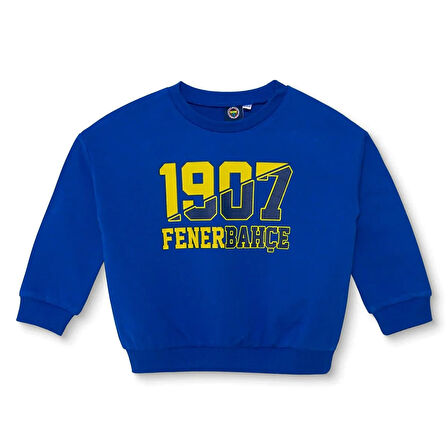 Fenerbahçe Sweatshirt