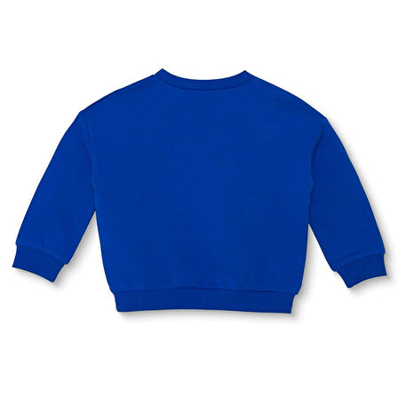 Fenerbahçe Sweatshirt