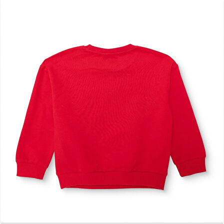 Beşiktaş Sweatshirt