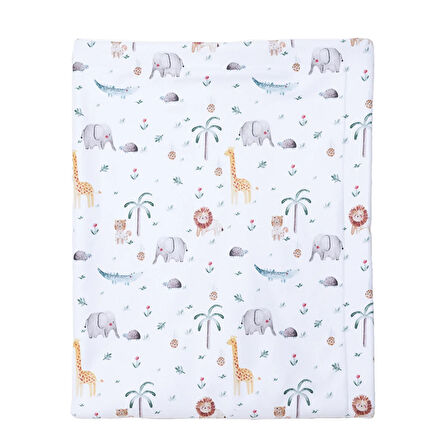 Mollia Erkek Bebek Battaniye Polar 80 x 100