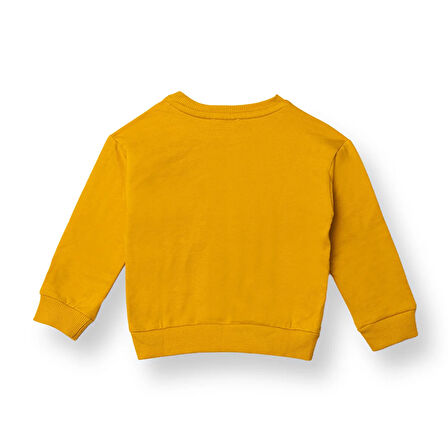 HelloBaby Erkek Bebek Sweatshirt Şardonlu İki İplik Bisiklet Yaka Uzun Kol