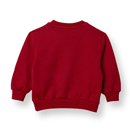 HelloBaby Erkek Bebek Sweatshirt Şardonlu İki İplik Bisiklet Yaka Uzun Kol