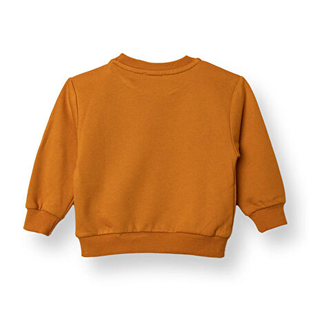 HelloBaby Erkek Bebek Sweatshirt Şardonlu İki İplik Uzun Kol