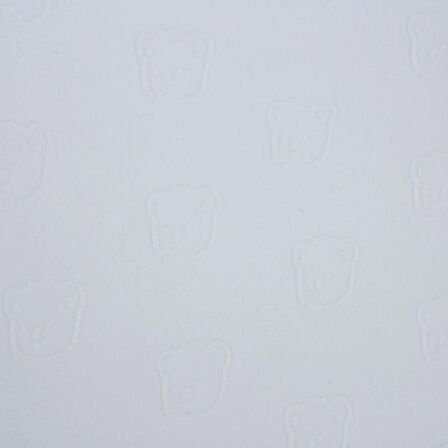 Mollia Unisex Battaniye Wellsoft 80x100cm