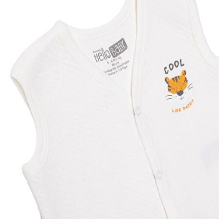 HelloBaby Erkek Bebek Kapitone Yelek Kapitone Örme V Yaka Atlet Kol