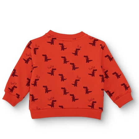 HelloBaby Erkek Bebek Sweatshirt Dinozor Baskılı Bisiklet Yaka Uzun Kol