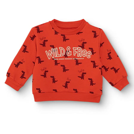 HelloBaby Erkek Bebek Sweatshirt Dinozor Baskılı Bisiklet Yaka Uzun Kol