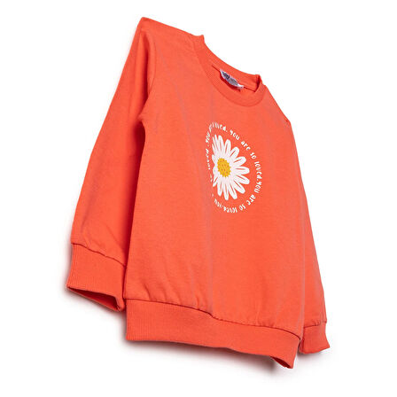 HelloBaby Kız Bebek Sweatshirt İki İplik Bisiklet Yaka Uzun Kol