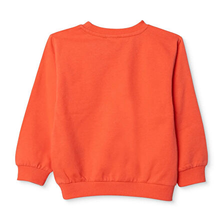 HelloBaby Kız Bebek Sweatshirt İki İplik Bisiklet Yaka Uzun Kol