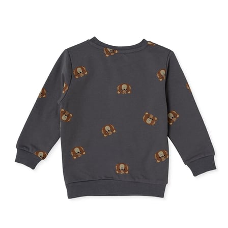 HelloBaby Erkek Bebek Sweatshirt Ayı Baskılı Bisiklet Yaka Uzun Kol