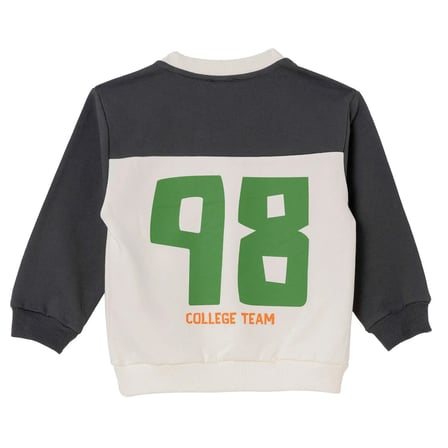 HelloBaby Erkek Bebek Sweatshirt Sports Bear Spor Baskılı Bisiklet Yaka Uzun Kol