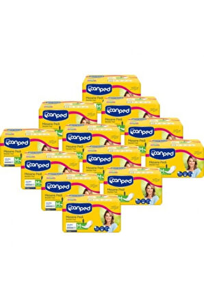 Mesane Pedi 10 Lu Orta (M) 12 Adet