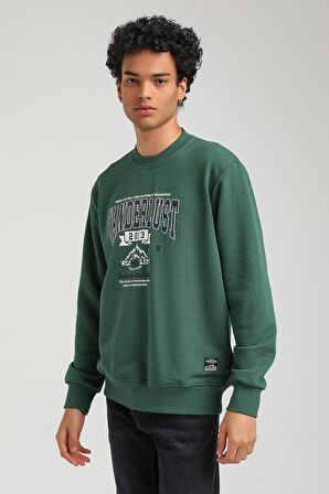 Bisiklet Yaka Yeşil Slim Fit Sweatshirt 23FWM60146