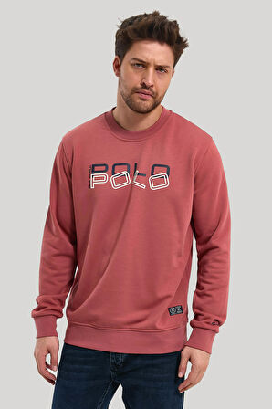 Bisiklet Yaka Kestane Slim Fit Sweatshirt 23FWM60166