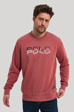 Bisiklet Yaka Kestane Slim Fit Sweatshirt 23FWM60166