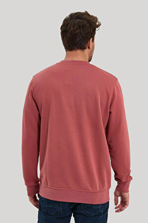 Bisiklet Yaka Kestane Slim Fit Sweatshirt 23FWM60166