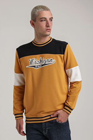 Bisiklet Yaka Hardal Slim Fit Sweatshirt 24FWM60192