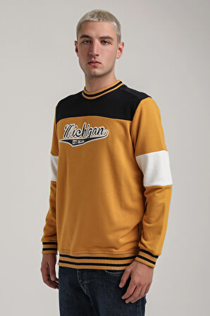 Bisiklet Yaka Hardal Slim Fit Sweatshirt 24FWM60192