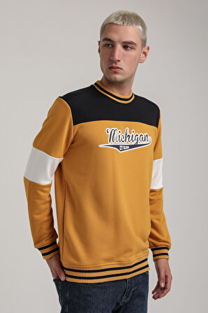 Bisiklet Yaka Hardal Slim Fit Sweatshirt 24FWM60192