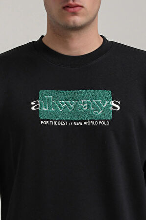 Bisiklet Yaka Lacivert Slim Fit Sweatshirt 24FWM60201