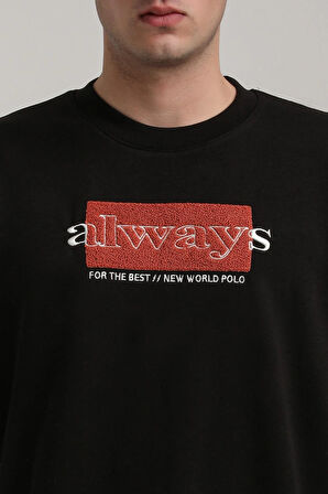 Bisiklet Yaka Siyah Slim Fit Sweatshirt 24FWM60201