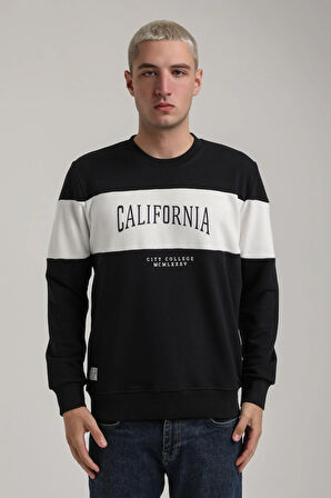 Bisiklet Yaka Lacivert Slim Fit Sweatshirt 24FWM60203