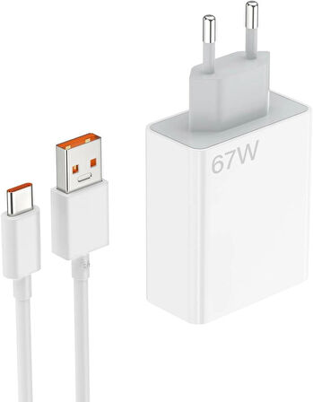 Coverzone USB C Kablolu Hızlı Duvar Şarj Cihazı USB Çıkışlı Tablet ve Telefon Şarj Aleti Fast Charge Wall Charger USB Şarj Başlığı TRW420-67W