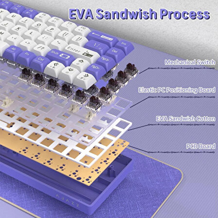 Coverzone AJAZZ AK680 65% Kablolu Hotswap Mekanik Oyun Klavyesi,68 Tuşlu Taşınabilir Anti-Ghosting Klavye,Gökkuşağı Arkadan Aydınlatmalı Programlanabilir,EVA Sandviç,Ergonomik Mor Beyaz/Brown Switch