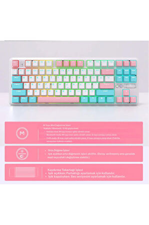 Ajazz K870T Pro Kablosuz Hot Swap Mekanik Oyun Klavyesi-RGB Beyaz - Red Switch