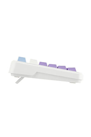 Ajazz AK820 Max HE Hall Effect Manyetik Switch Kablolu Oyun Klavyesi 8000Hz Mor Beyaz