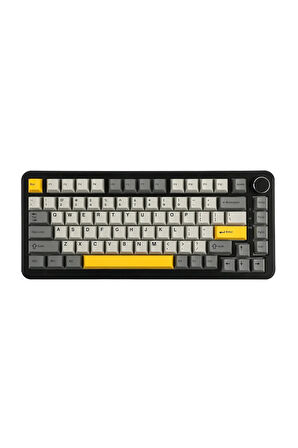 Ajazz AK820 Max HE Hall Effect Manyetik Switch Kablolu Oyun Klavyesi 8000Hz Siyah Beyaz