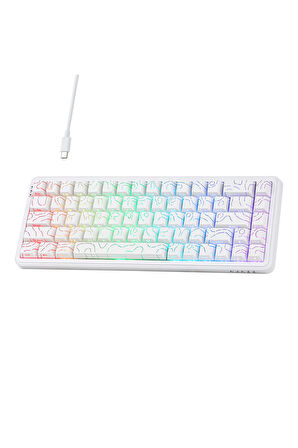 Ajazz AK680 Max HE Kablolu Manyetik Switch Klavye-8000Hz-0.125Ms