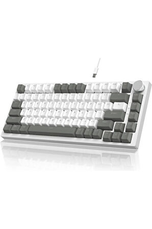 Beyaz Işıklı Hot Swap Kablolu Mekanik Oyun Klavyesi Ajazz AK820 Kırmızı Switch