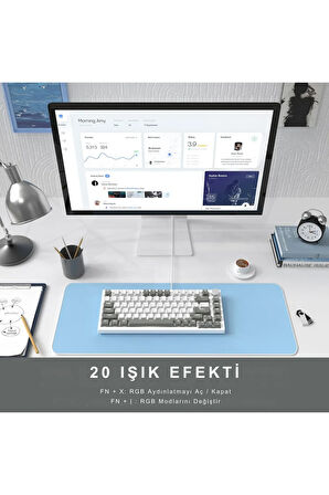 Beyaz Işıklı Hot Swap Kablolu Mekanik Oyun Klavyesi Ajazz AK820 Kırmızı Switch