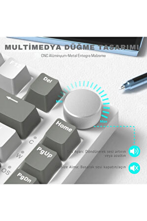 Beyaz Işıklı Hot Swap Kablolu Mekanik Oyun Klavyesi Ajazz AK820 Kırmızı Switch