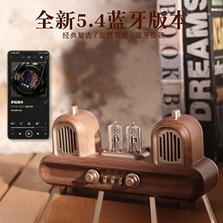 Coverzone Mini Retro Bluetooth Hoparlör FM Radyo, LED Işıklı, 10W Güçlü Ses, USB TF AUX Destekli | AS33