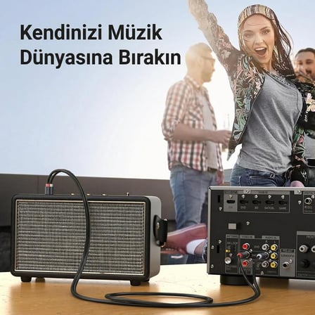 Coverzone 2RCA Stereo ENT Ses Kablosu Altın Uçlu Yüksek Ses Kalitesi AUX 3.5mm RCA Kablo Subwoofer Amfi TV Ses Sistemi ile Uyumlu Dayanıklı PVC, Audio Kablo, Siyah (1metre)