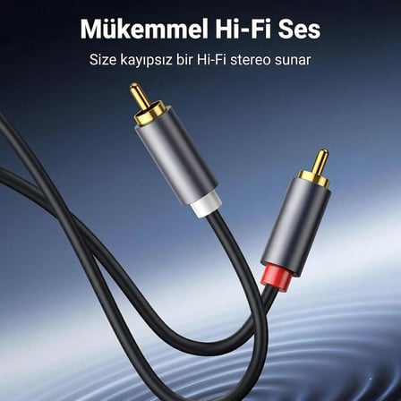 Coverzone 2RCA Stereo Ses ENT Kablosu Altın Uçlu Yüksek Ses Kalitesi AUX 3.5mm RCA Kablo Subwoofer Amfi TV Ses Sistemi ile Uyumlu Dayanıklı PVC, Audio Kablo, Siyah (3metre)