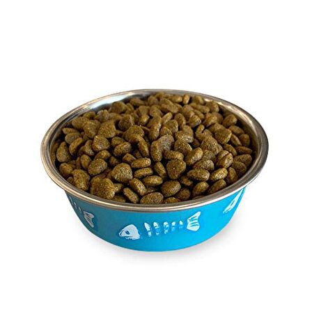 Obivan Low Grain Delicate Kuzu Etli Kedi Maması 1 KG