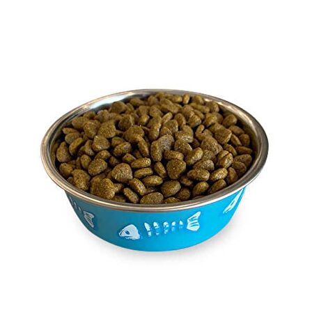 Obivan Low Grain Delicate Kuzu Etli Kedi Maması 1 kg x 10 Adet