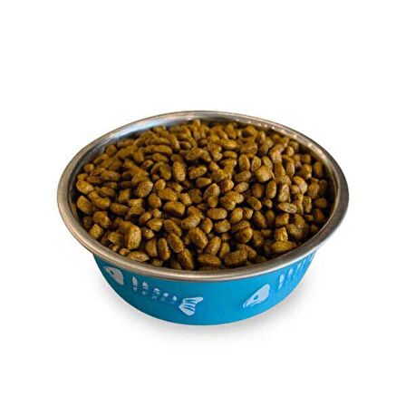 Obivan Low Grain Tavuk Etli Kedi Maması 1 kg x 10 Adet