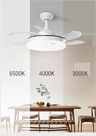 Panasonic Fan Light - Fanlı Tavan Lambası 30+36W