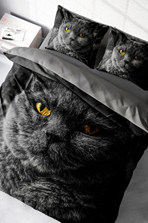 Lastikli Çarşaflı %100 Pamuk Saten Çift Kişilik Nevresim Takımı Serious Cat