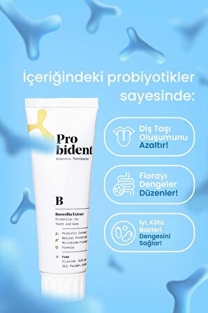 Probident Aktif Probiyotik Diş Macunu Akgünlük Özüt Ilaveli Diş Ve Diş Etleri Için Koruma Boswellia