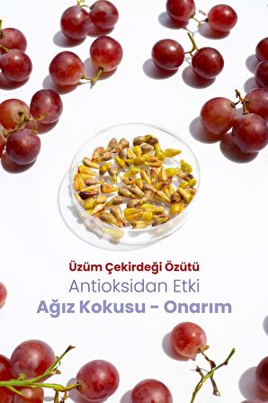 Probident Aktif Probiyotik Diş Macunu Üzüm Çekirdeği Özüt Ilaveli Diş Ve Diş Etleri Için Antioksidan Grape Seed