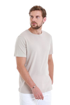 Taş Regular Fit Düz Bisiklet Yaka Pamuklu Tişört | S