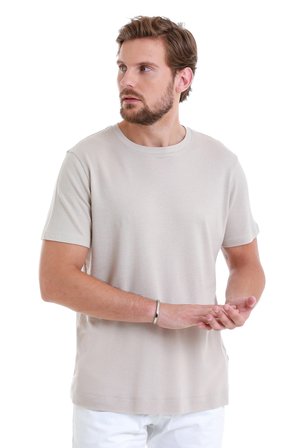 Taş Regular Fit Düz Bisiklet Yaka Pamuklu Tişört | S