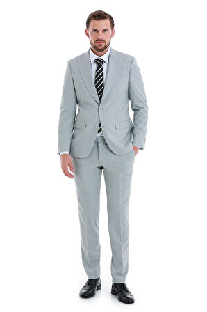 Gri Slim Fit Çizgili Sivri Yaka Klasik Takım Elbise | 46